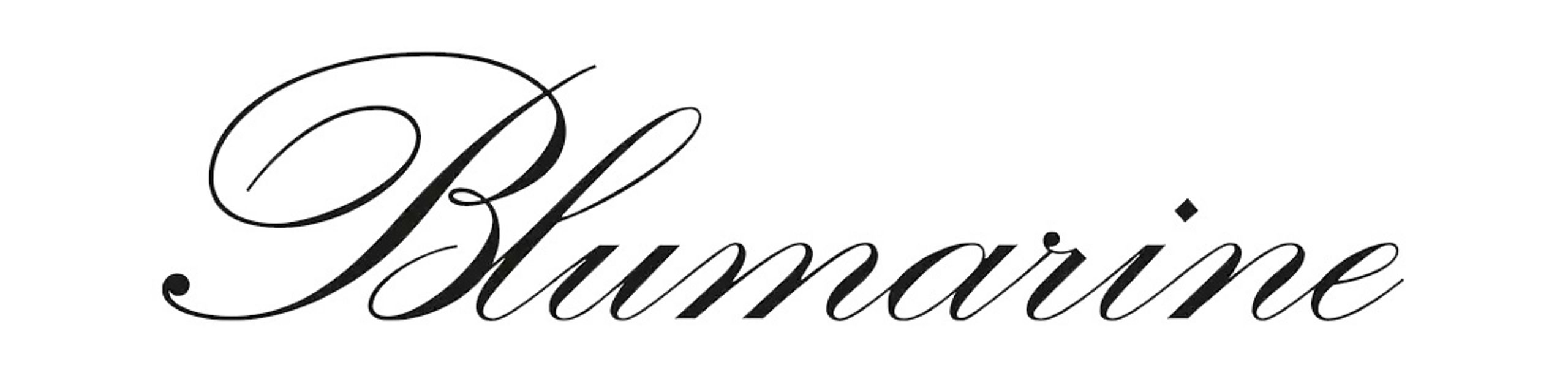 Blumarine Shop Banner