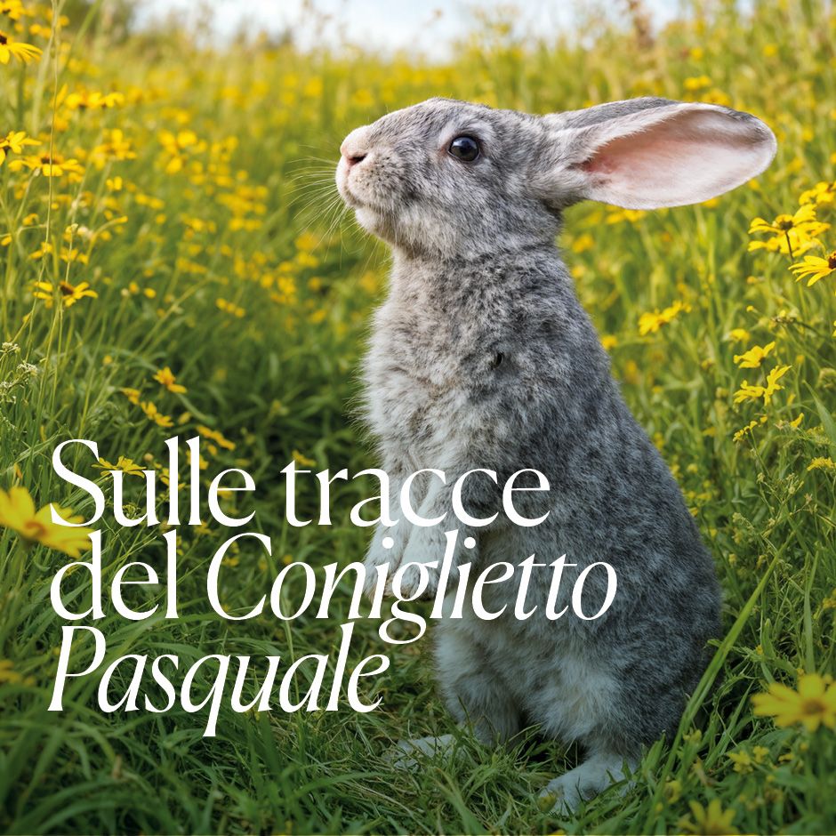 [Translate to German:] Sulle tracce del coniglietto Pasquale